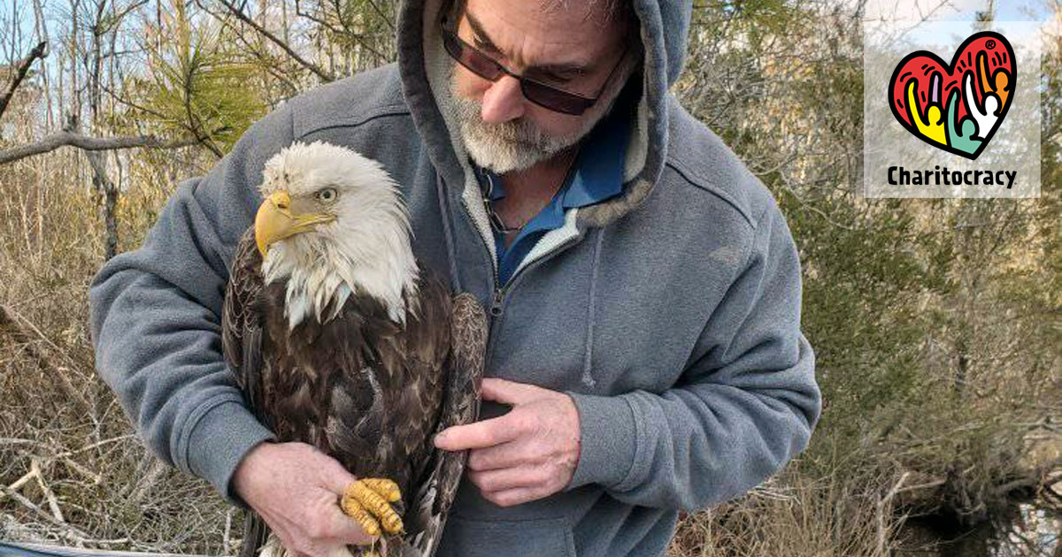 nominee Hatteras Island Wildlife Rehabilitation