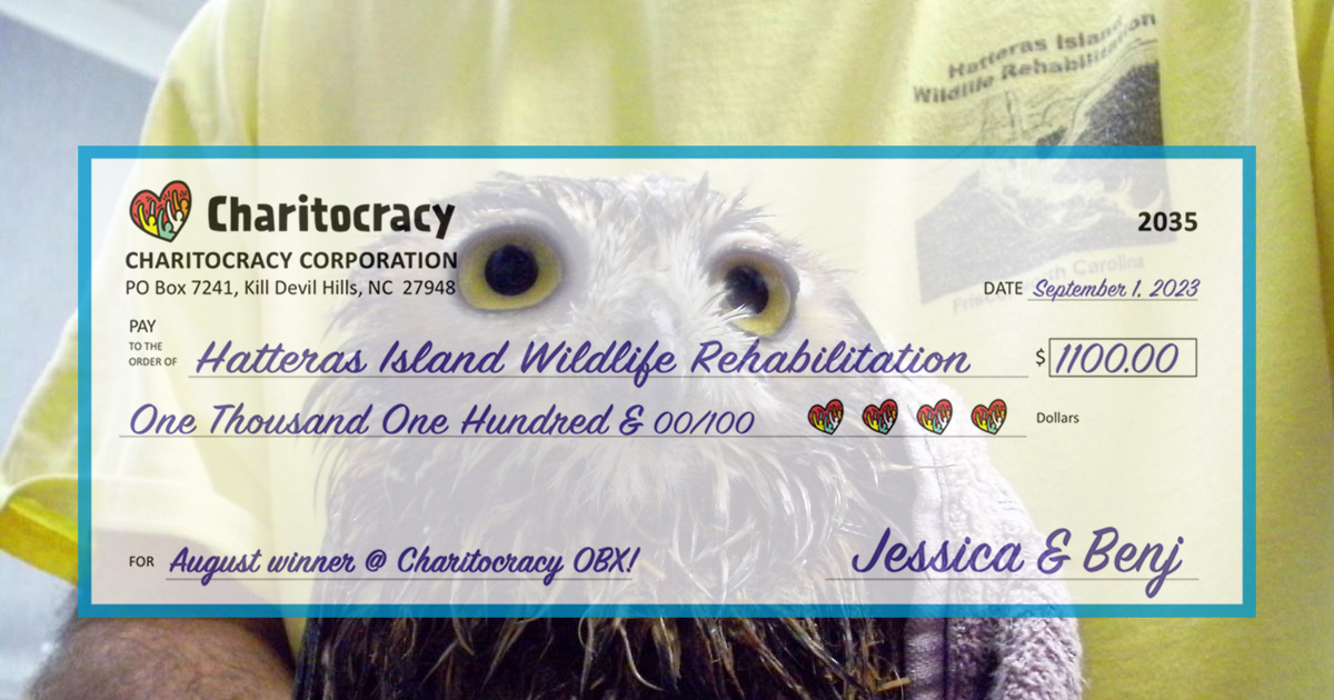 Charitocracy OBX's 35th check to August winner Hatteras Island Wildlife Rehabilitation for $1100